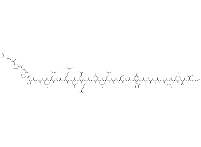 Orexin B, human