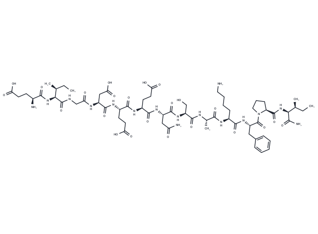 Neuropeptide EI, rat