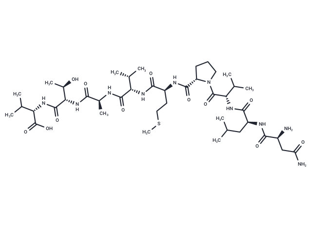 CEF20