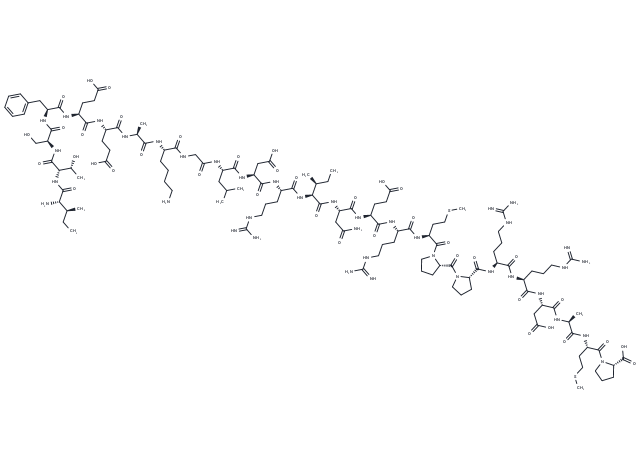 Calcineurin Autoinhibitory Peptide