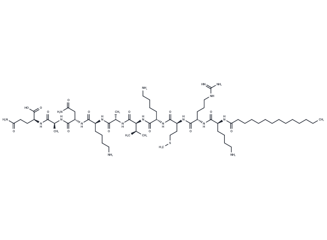 Pep2m, myristoylated