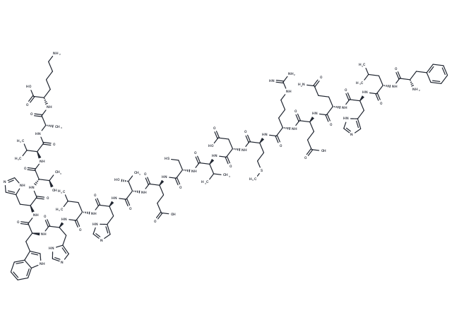 β-Amyloid Protein Precursor 770 (135-155)