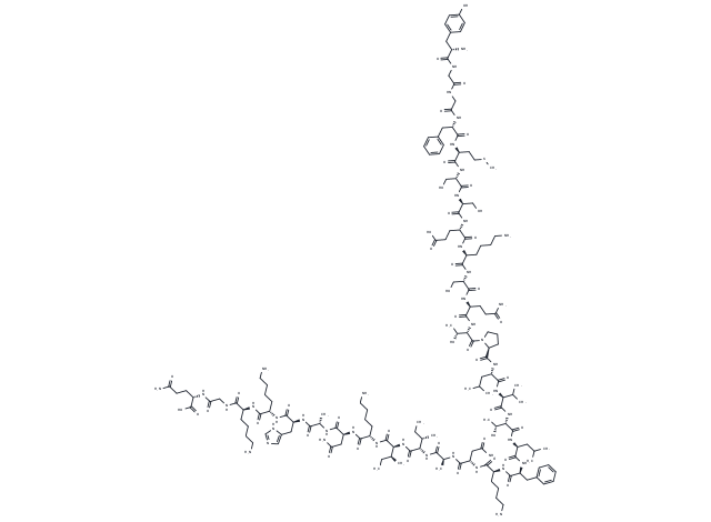 β-Endorphin, equine