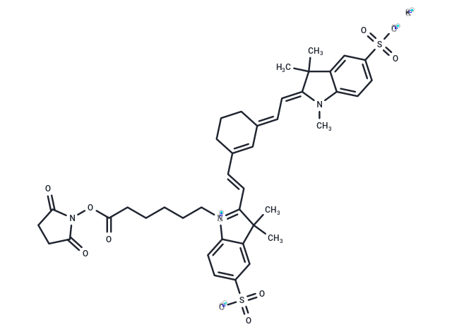 Sulfo-Cyanine7 NHS ester potassium