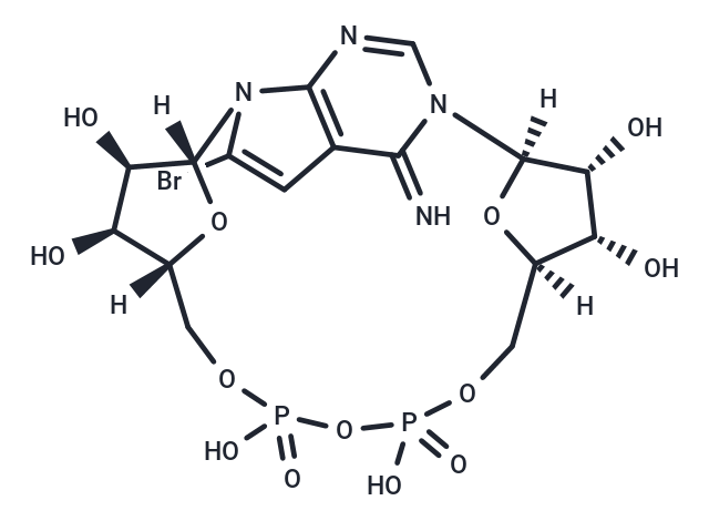 8-Br-7-CH-cADPR