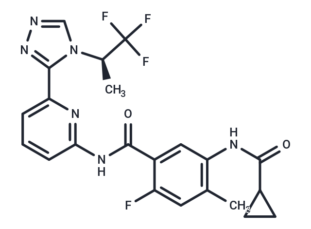 CS17919