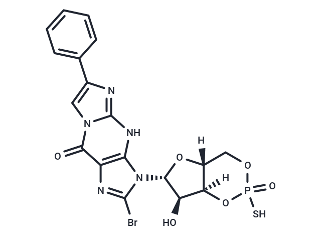 Sp-8-Br-PET-cGMPS