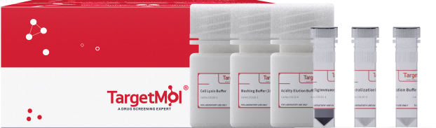 Protein A Immunoprecipitation Kit