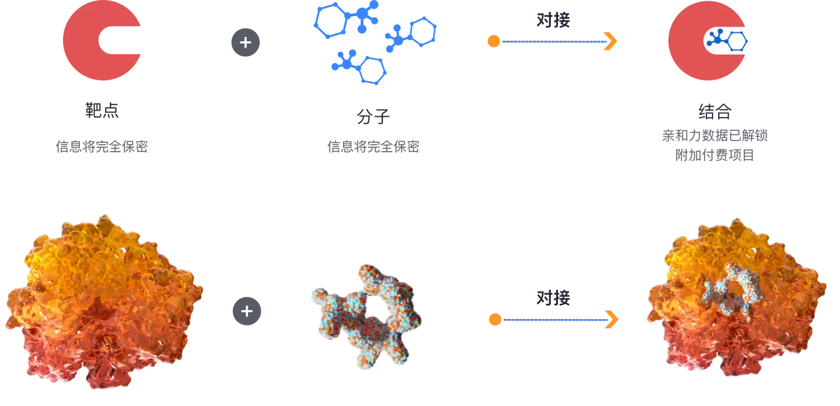 TargetMol | 分子对接 | 计算机辅助/人工智能药物设计