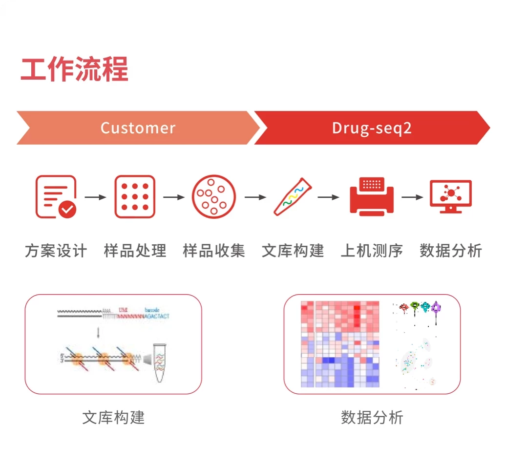 TargetMol | PHDs-seq高通量靶向转录组测序技术 