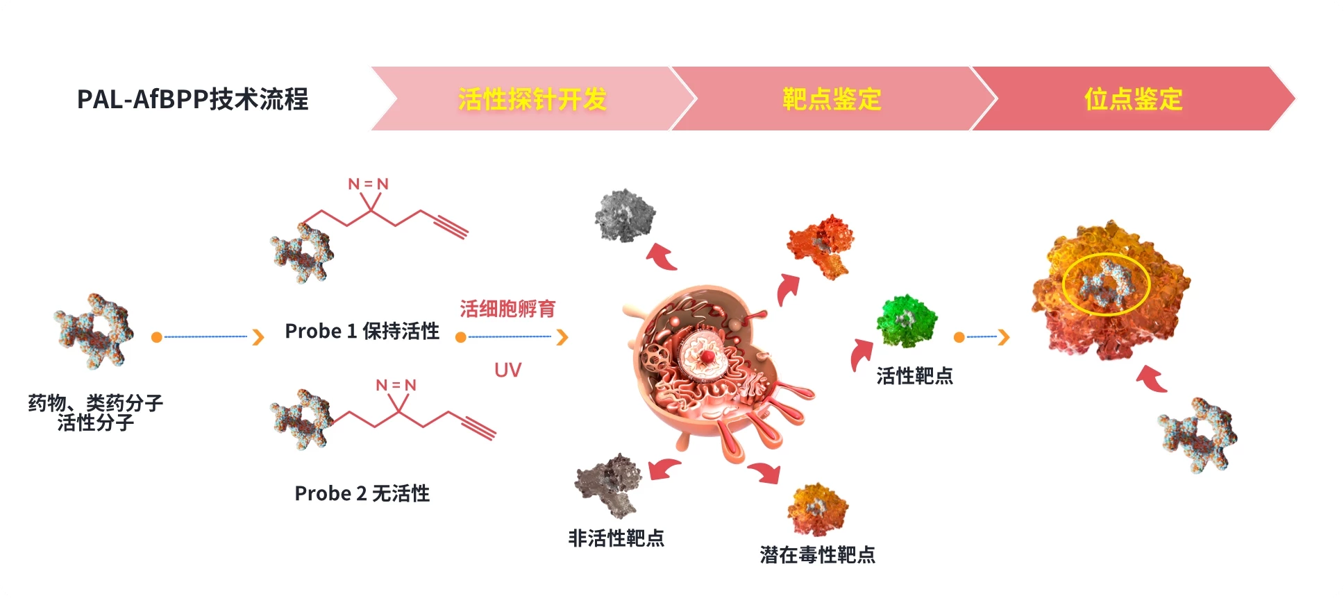 TargetMol | 反向找靶 | 计算机辅助/人工智能药物设计