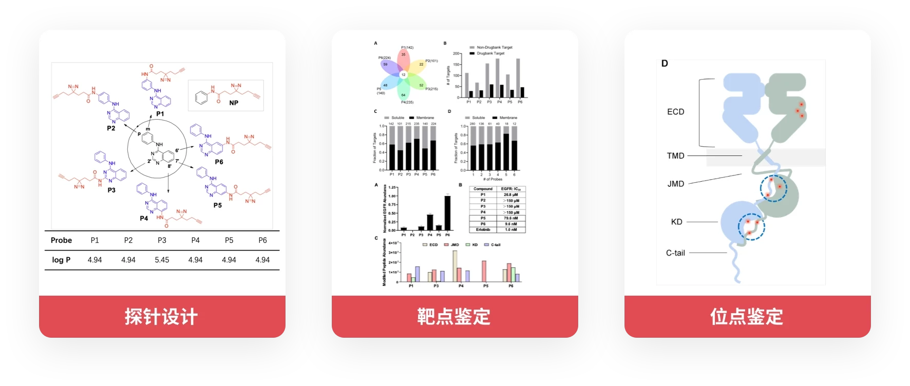 TargetMol | 反向找靶 | 计算机辅助/人工智能药物设计